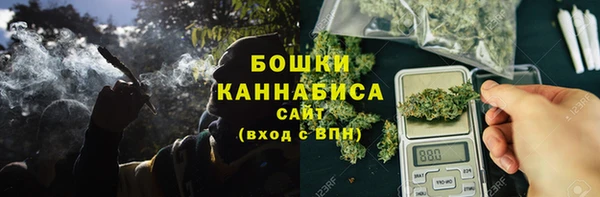 шишки Богородск