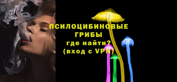 PSILOCYBIN Бронницы