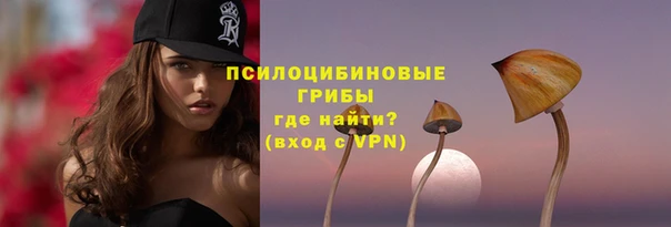 шишки Богородск