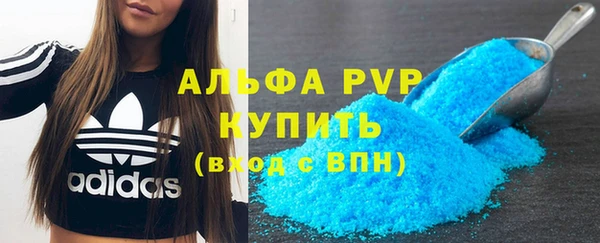 PSILOCYBIN Бронницы