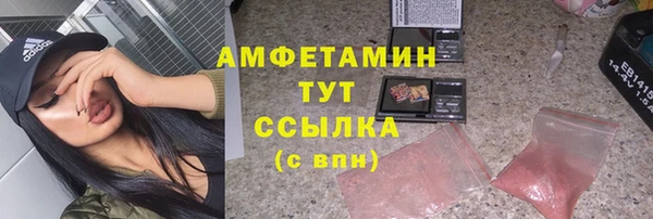 соль ск Богородицк