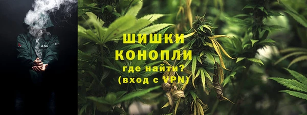 шишки Богородск